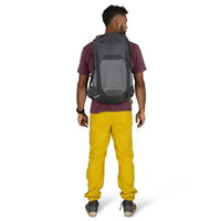 Osprey Talon 22